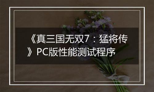《真三国无双7：猛将传》PC版性能测试程序