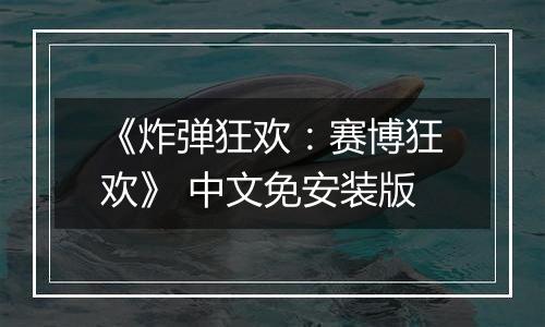 《炸弹狂欢：赛博狂欢》 中文免安装版