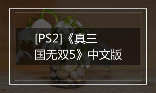 [PS2]《真三国无双5》中文版