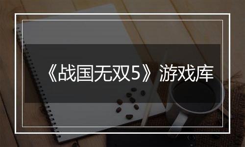 《战国无双5》游戏库