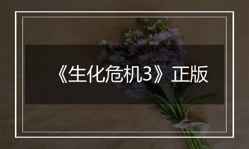 《生化危机3》正版