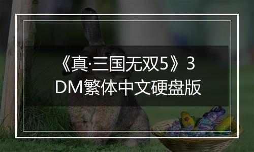 《真·三国无双5》3DM繁体中文硬盘版