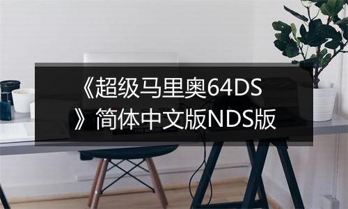 《超级马里奥64DS》简体中文版NDS版