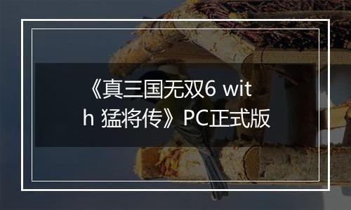 《真三国无双6 with 猛将传》PC正式版