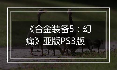 《合金装备5：幻痛》亚版PS3版