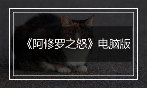 《阿修罗之怒》电脑版