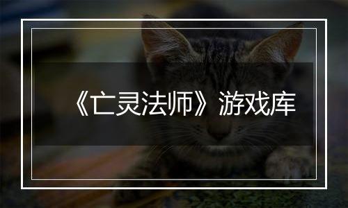 《亡灵法师》游戏库