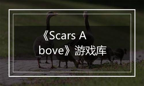 《Scars Above》游戏库