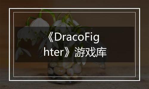 《DracoFighter》游戏库