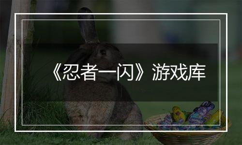 《忍者一闪》游戏库