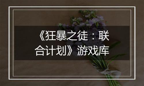 《狂暴之徒：联合计划》游戏库