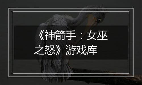 《神箭手：女巫之怒》游戏库