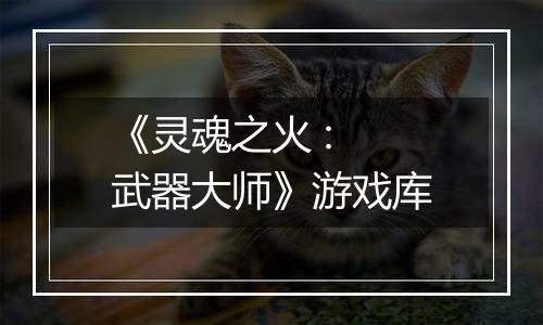 《灵魂之火 : 武器大师》游戏库