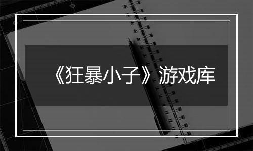 《狂暴小子》游戏库