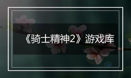 《骑士精神2》游戏库
