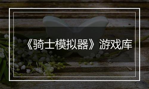 《骑士模拟器》游戏库