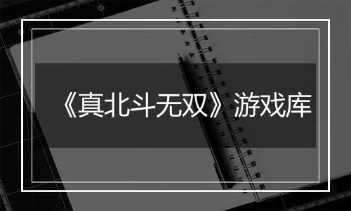 《真北斗无双》游戏库