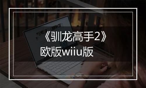 《驯龙高手2》欧版wiiu版