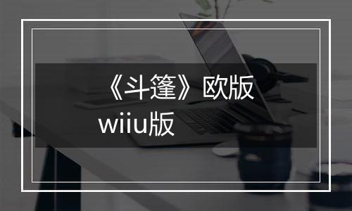 《斗篷》欧版wiiu版