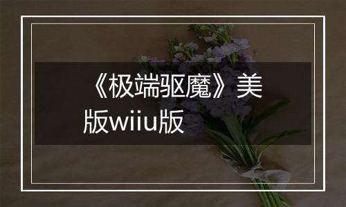 《极端驱魔》美版wiiu版