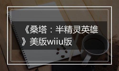《桑塔：半精灵英雄》美版wiiu版