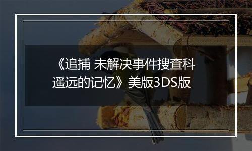 《追捕 未解决事件搜查科 遥远的记忆》美版3DS版