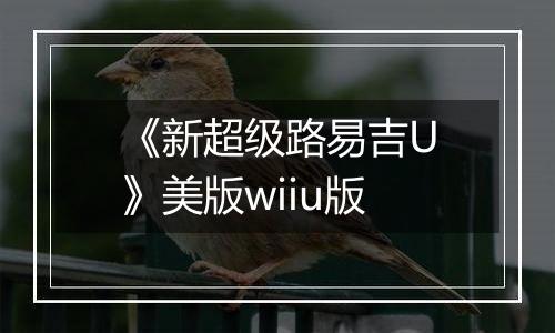 《新超级路易吉U》美版wiiu版