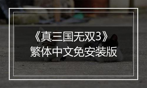 《真三国无双3》繁体中文免安装版