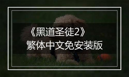 《黑道圣徒2》 繁体中文免安装版