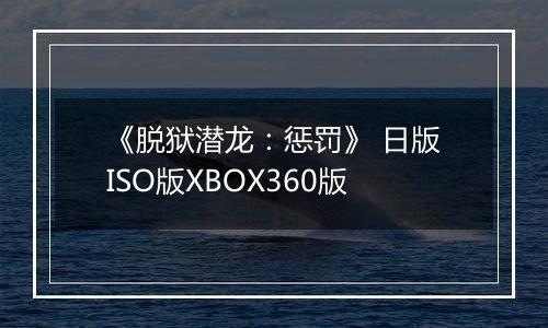 《脱狱潜龙：惩罚》 日版ISO版XBOX360版