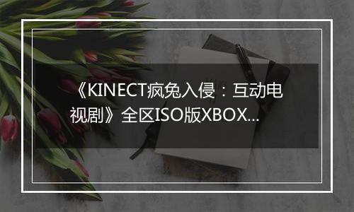 《KINECT疯兔入侵：互动电视剧》全区ISO版XBOX360版