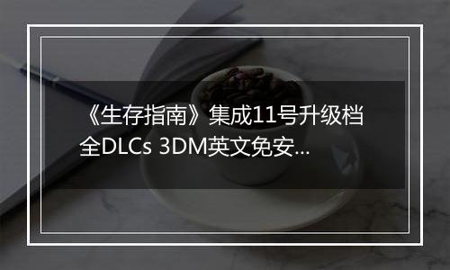 《生存指南》集成11号升级档 全DLCs 3DM英文免安装版