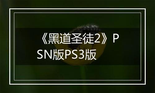 《黑道圣徒2》PSN版PS3版