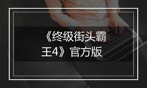 《终级街头霸王4》官方版