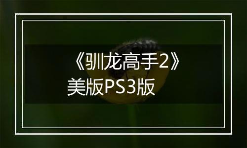 《驯龙高手2》美版PS3版