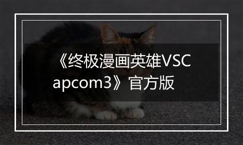《终极漫画英雄VSCapcom3》官方版