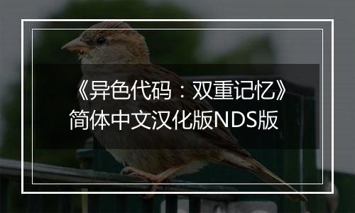 《异色代码：双重记忆》简体中文汉化版NDS版