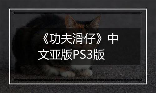 《功夫滑仔》中文亚版PS3版
