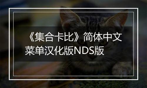 《集合卡比》简体中文菜单汉化版NDS版