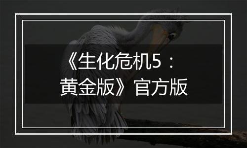 《生化危机5：黄金版》官方版