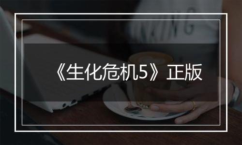 《生化危机5》正版