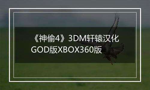 《神偷4》3DM轩辕汉化GOD版XBOX360版