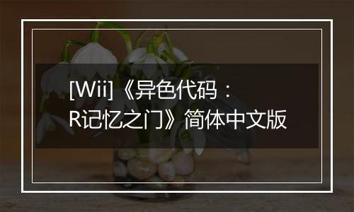[Wii]《异色代码：R记忆之门》简体中文版