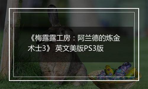 《梅露露工房：阿兰德的炼金术士3》 英文美版PS3版