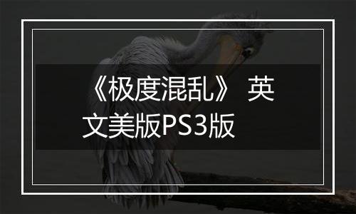 《极度混乱》 英文美版PS3版