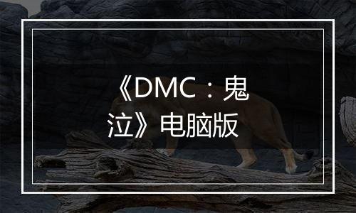 《DMC：鬼泣》电脑版