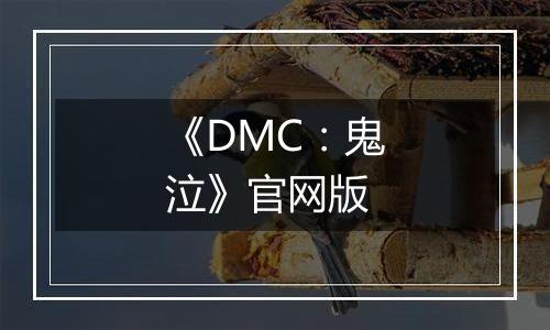 《DMC：鬼泣》官网版