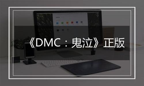 《DMC：鬼泣》正版