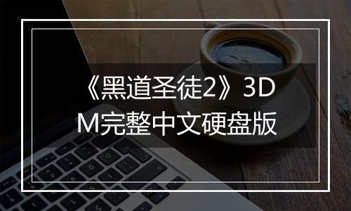 《黑道圣徒2》3DM完整中文硬盘版
