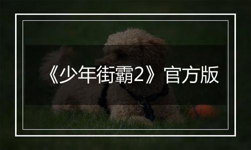 《少年街霸2》官方版